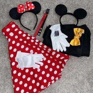 Halloween Costume - Disney Adult (Couples)
